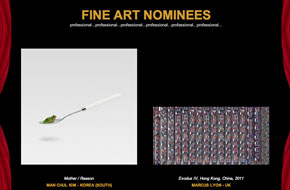 International Color awards Fine Art Nominees - Photographer Manchul Kim's Personal Work REASON - Mother